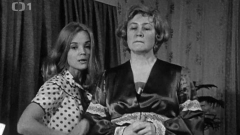 Bakaláři - Psí život