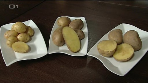 Černé ovce - 13. prosince 2012