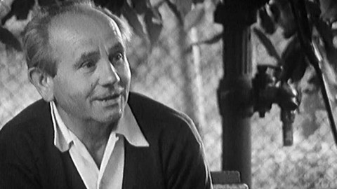 Archiv D - Život bez zastávek