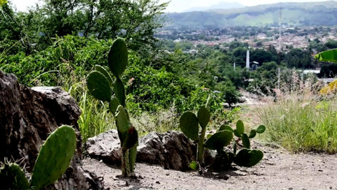 Objektiv - 25. září 2016