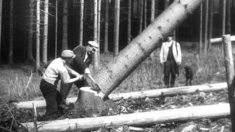 Hledání ztraceného času - Jak se co dělá (9)