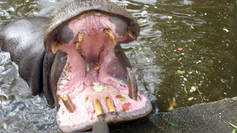 Máte mě! - 23. října 2011