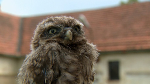 Chcete mě? - 5. května 2019