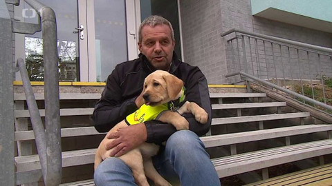 Týden v regionech (Brno) - 10. listopadu 2018