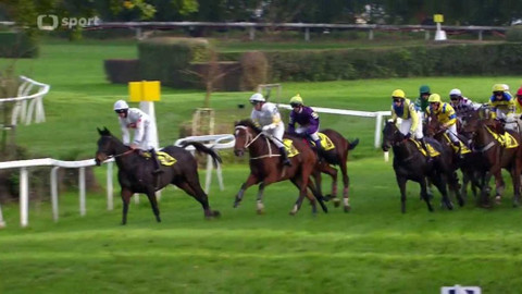 Velká pardubická - 2014