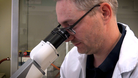 Příběhy moderní medicíny - Genová terapie na prahu nové éry