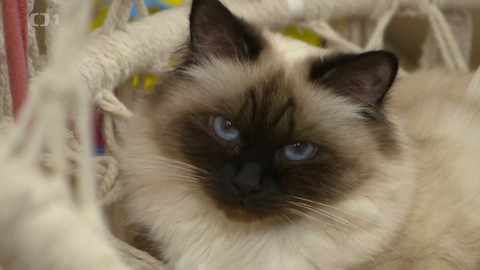 Polopatě - 15. února