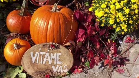 Týden v regionech (Brno) - 16. října 2021