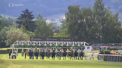 Turf - 22. června 2016