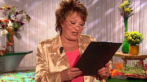 Dobrá rada nad zlato - 21. října 2006