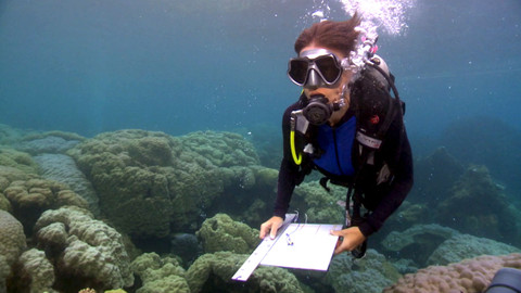 Dobrodružství vědy a techniky - Nebezpečí kyselého oceánu
