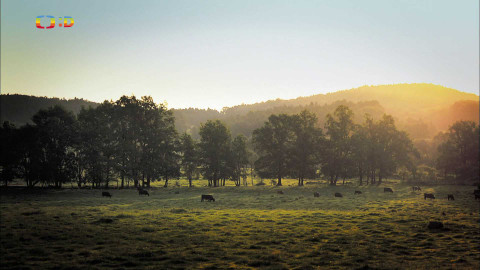 Čtení do ouška - Boháč a chudák