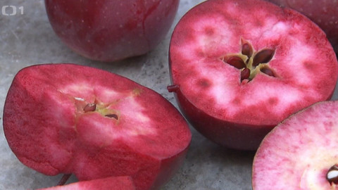 Hobby naší doby - 28. listopadu 2020