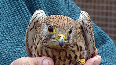 Chcete mě? - 14. dubna 2009