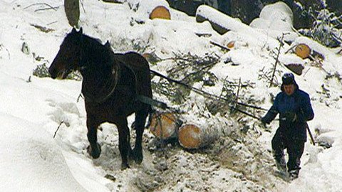 Náš venkov - Zapomenutý revír