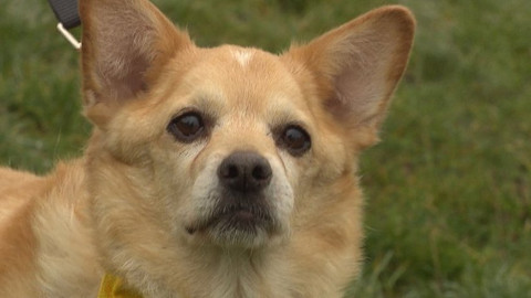 Chcete mě? - Chcete je?