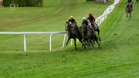 Velká pardubická - 127. Velká pardubická