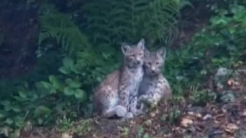 Tisíc let české myslivosti - 6. června 2008