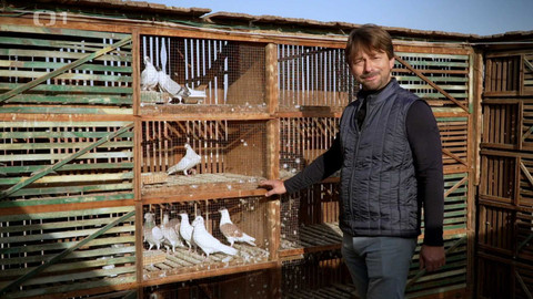 Postřehy odjinud - Káhira očima Štěpána Macháčka