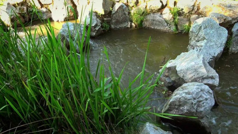 Kapka vody - Revitalizace řek ve městech