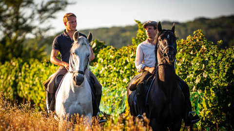 Českem na koňském hřbetu - 11/14 Po stopách genů