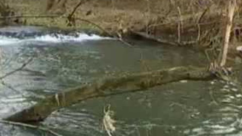 Přidej se - Račí mor