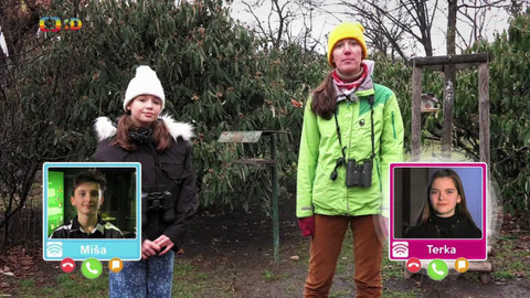 Wifina - 18. února 2022