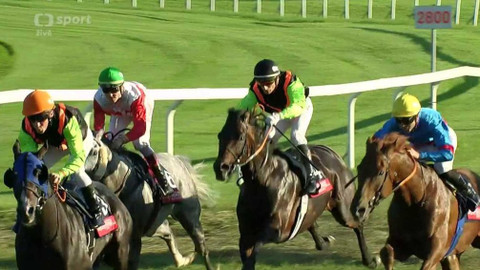 Dostihy - Evropský pohár žokejů