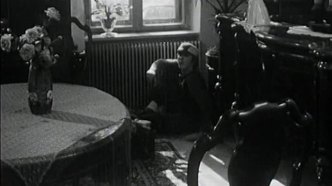 Bakaláři - Slivovice