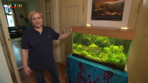 Telefon - 26. února 2016