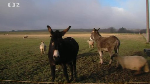 Náš venkov - Květná zahrada