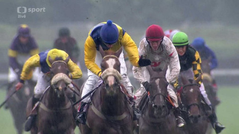 Dostihy - Úvodní cross country Koroka