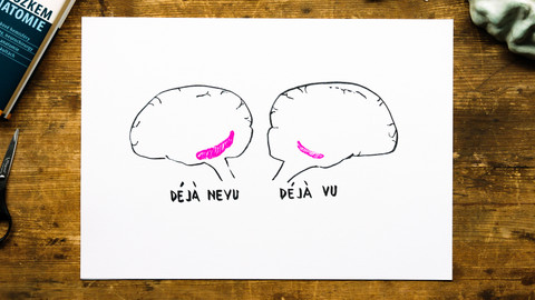 What the Fact? - Proč máme déjà vu?