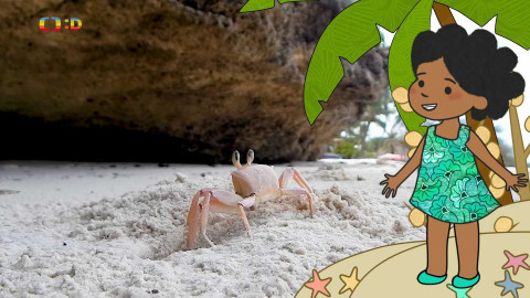 Velká kniha o zvířátkách - Epizoda 47/52