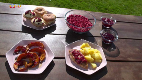 Draci v hrnci - Brusinky, léčiví tučňáci mezi rostlinami