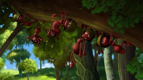 Včelka Mája - Zrzaví mravenci