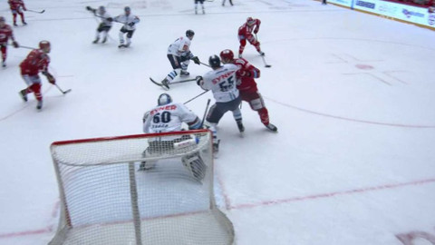 Buly hokej - HC Oceláři Třinec - Bílí Tygři Liberec