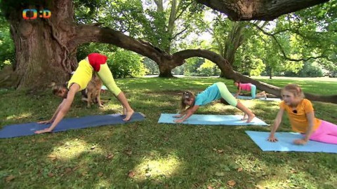 Jogínci v přírodě - Psí ocásek