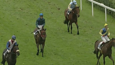 Jezdectví - Středoevropský pohár