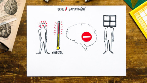 What the Fact? - Proč máme občas okno?