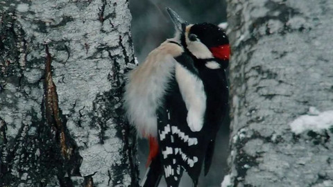 Zprávičky - 7. ledna 2020