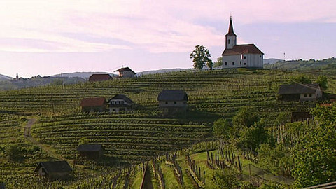 Putování za vínem - 13/16 Slovinsko II.