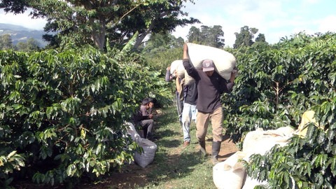 Na cestě - Na cestě po kostarickém pobřeží