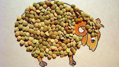 Šikulové - 11. prosince 2008