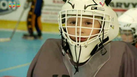 Lvíčata - 27. května 2017