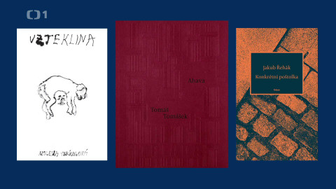 Magnesia Litera - Magnesia Litera 2025 - nominace