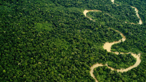 Přírodní mikrosvěty - Amazonie