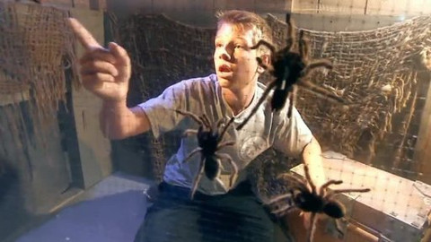 Pevnost Boyard - super výzva! - Epizoda 8/10