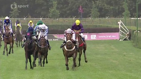 Turf - 1. července 2015