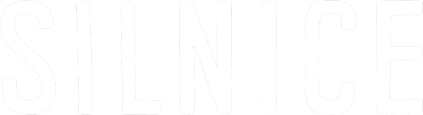 Silnice